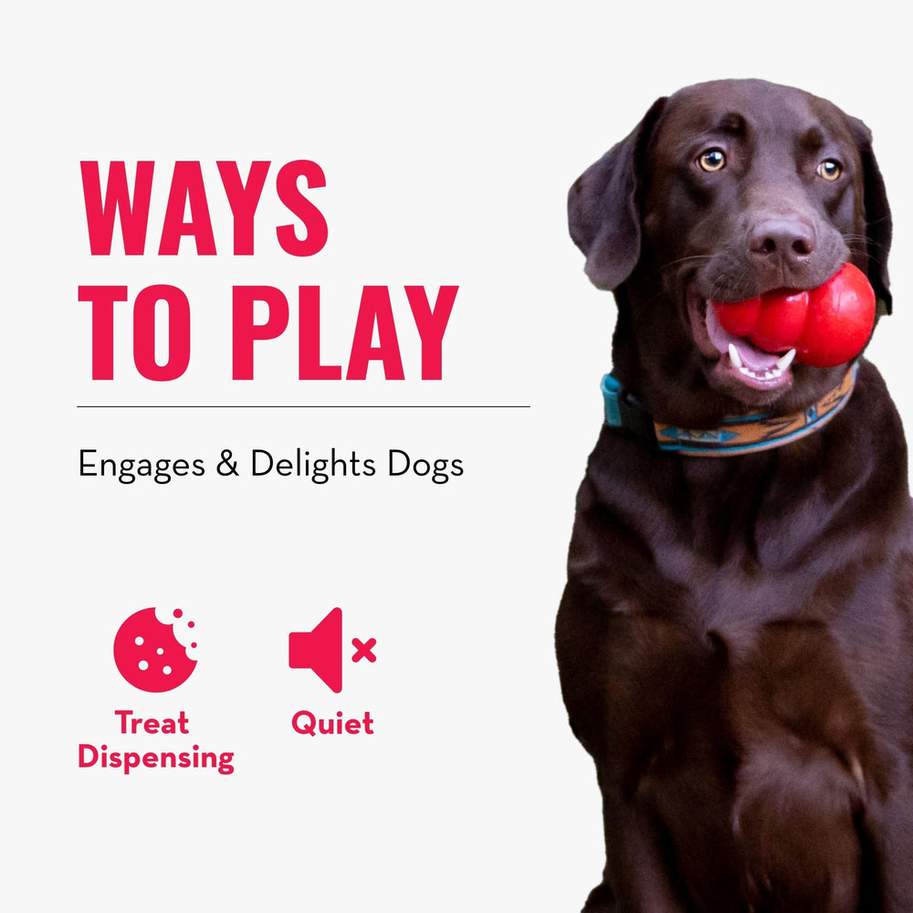 KONG Rewards Ball: juego silencioso para sesiones tranquilas en casa.