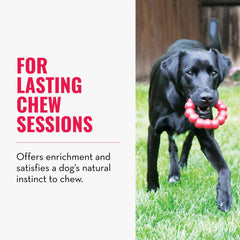 KONG Ring XL: tacto rugoso para estimular la masticación responsable.