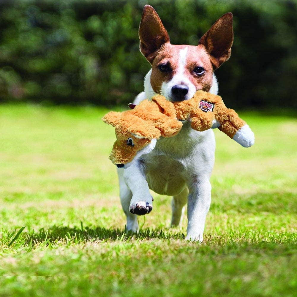 KONG Scrunch Knots Squirrel sin relleno, menos desorden durante sesiones