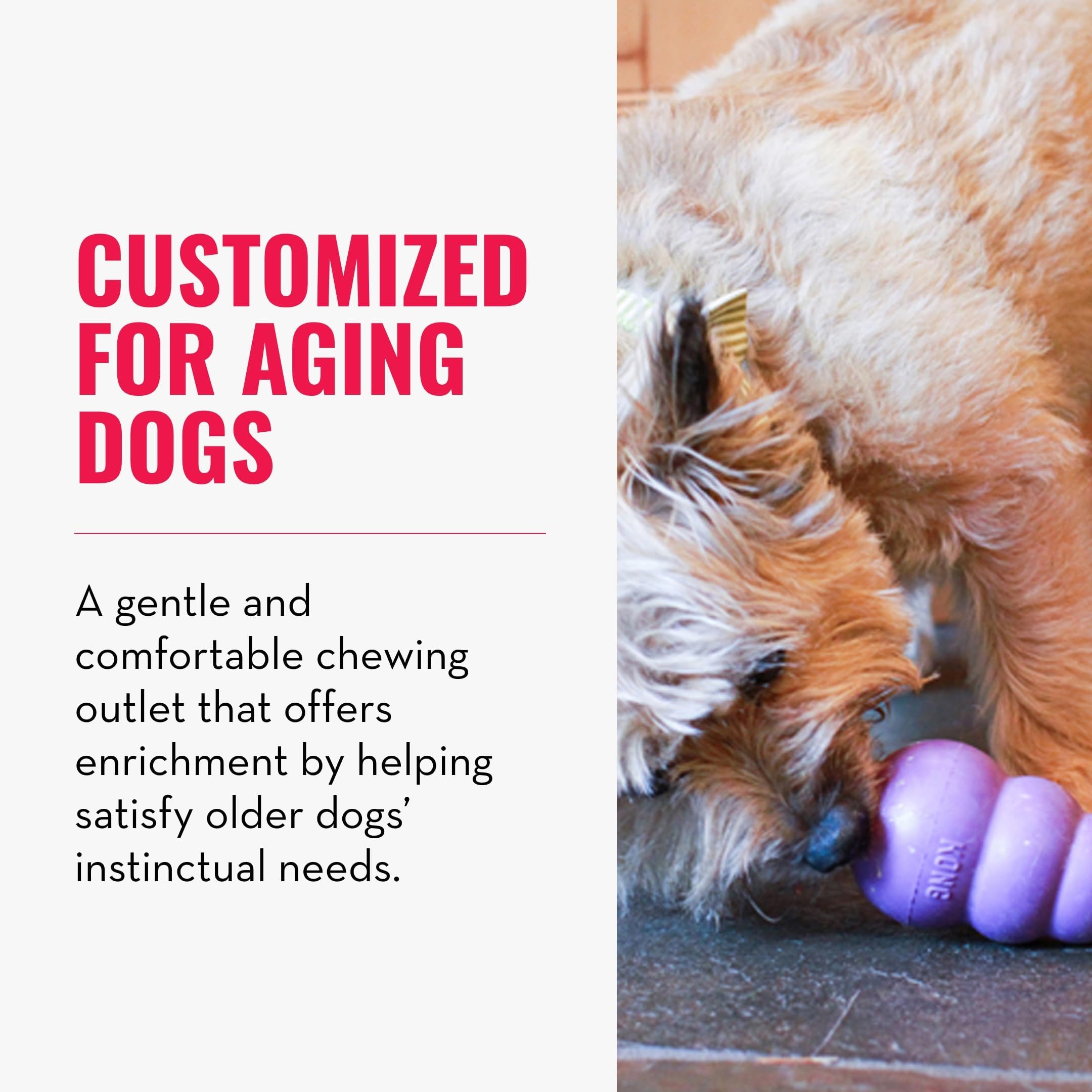 KONG Senior: juguete para perros medianos ideal para masticar y jugar.