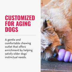 KONG Senior: juguete para perros medianos ideal para masticar y jugar.