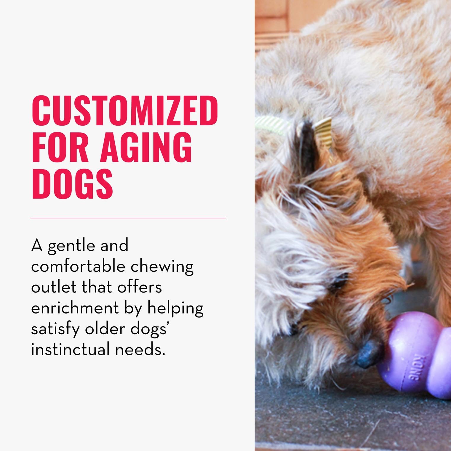 KONG Senior: mordedor duradero para sesiones de masticación de perros grandes.