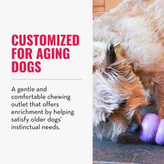 KONG Senior: mordedor duradero para sesiones de masticación de perros grandes.