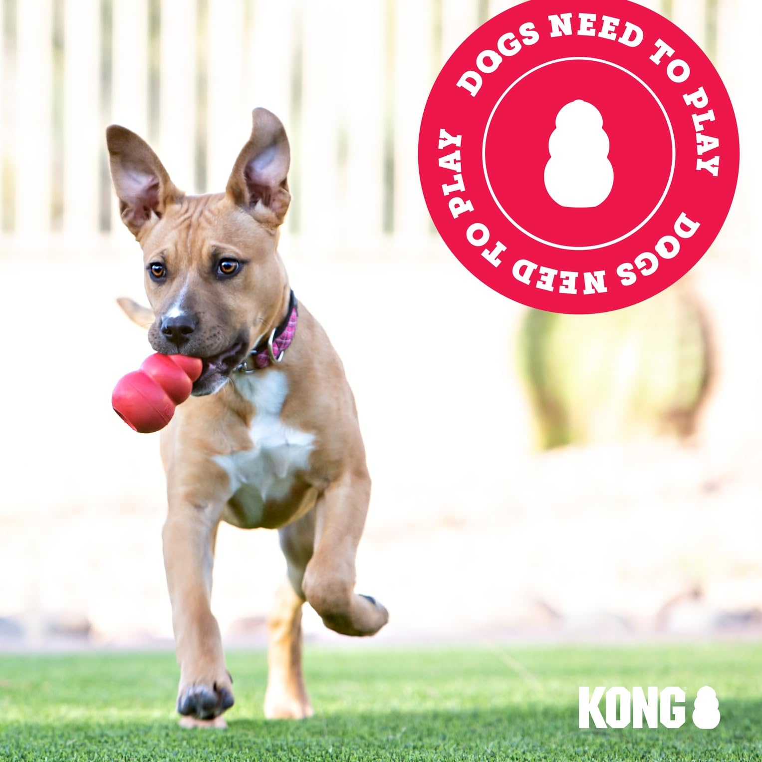 Conjunto de juguetes KONG para perros, ideal para juego y socialización.