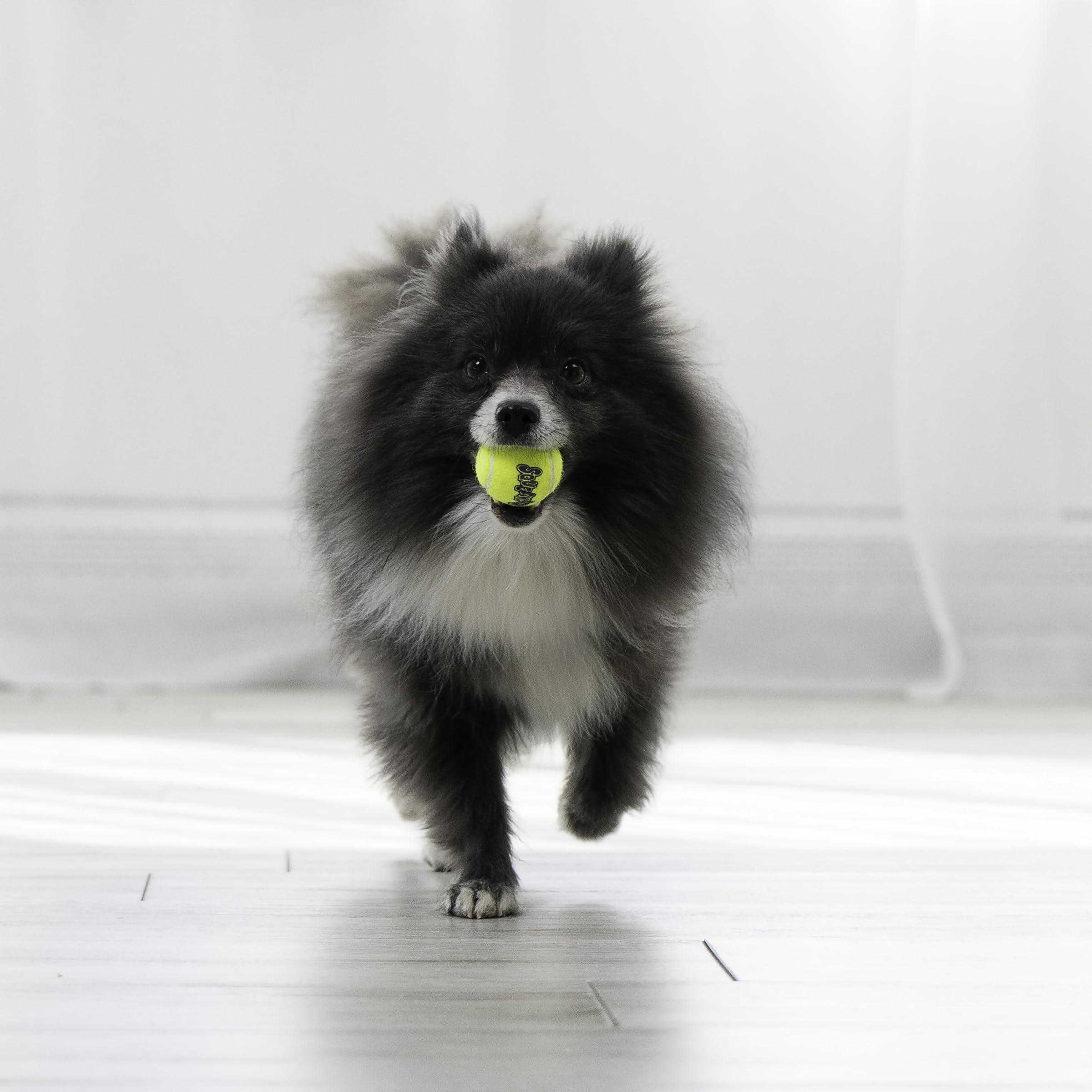 KONG Squeakair Ball: diseño duradero que resiste mordiscos y saltos durante el juego