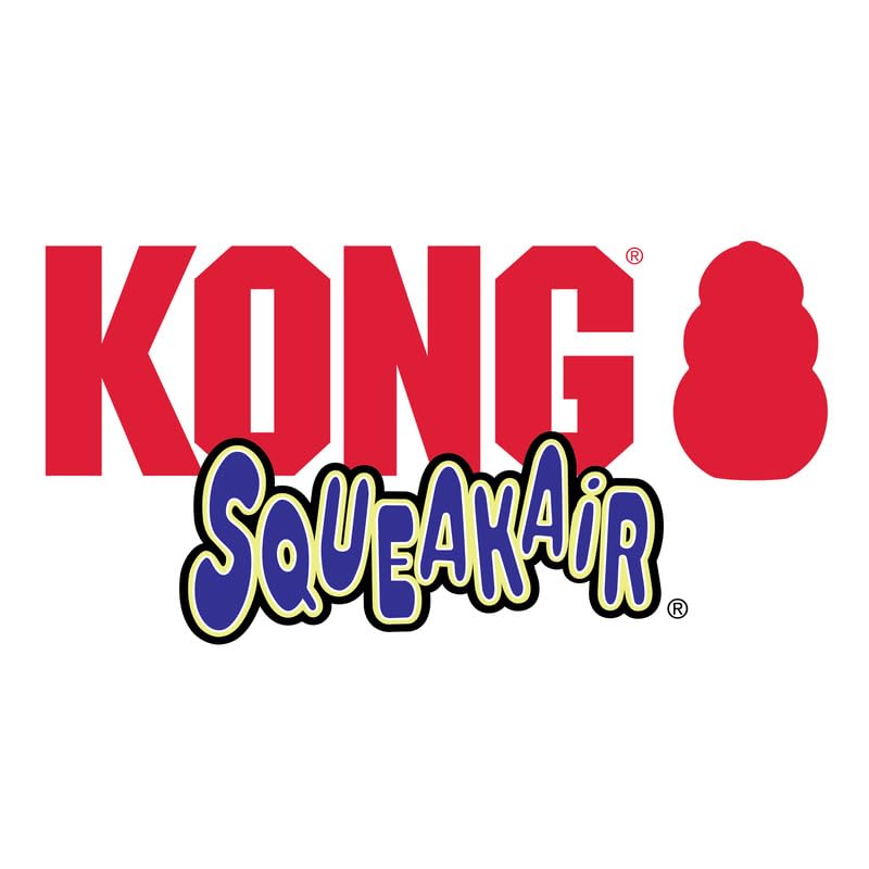 KONG Squeakair en exterior, perro feliz mientras juega al aire libre