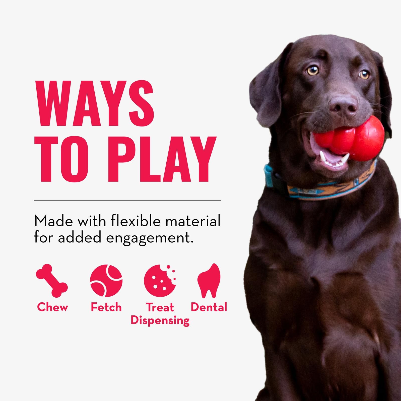 KONG Squeezz bola dental, textura flexible que satisface mordidas suaves y moderadas.