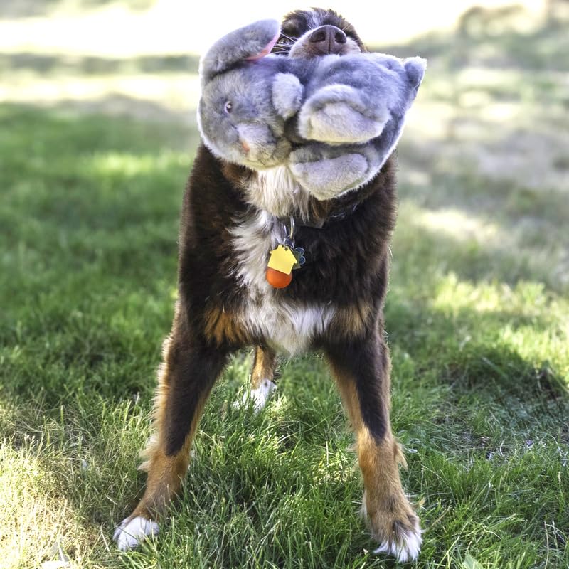 KONG Toughz doble chirrido, perfecto para estimular juego activo