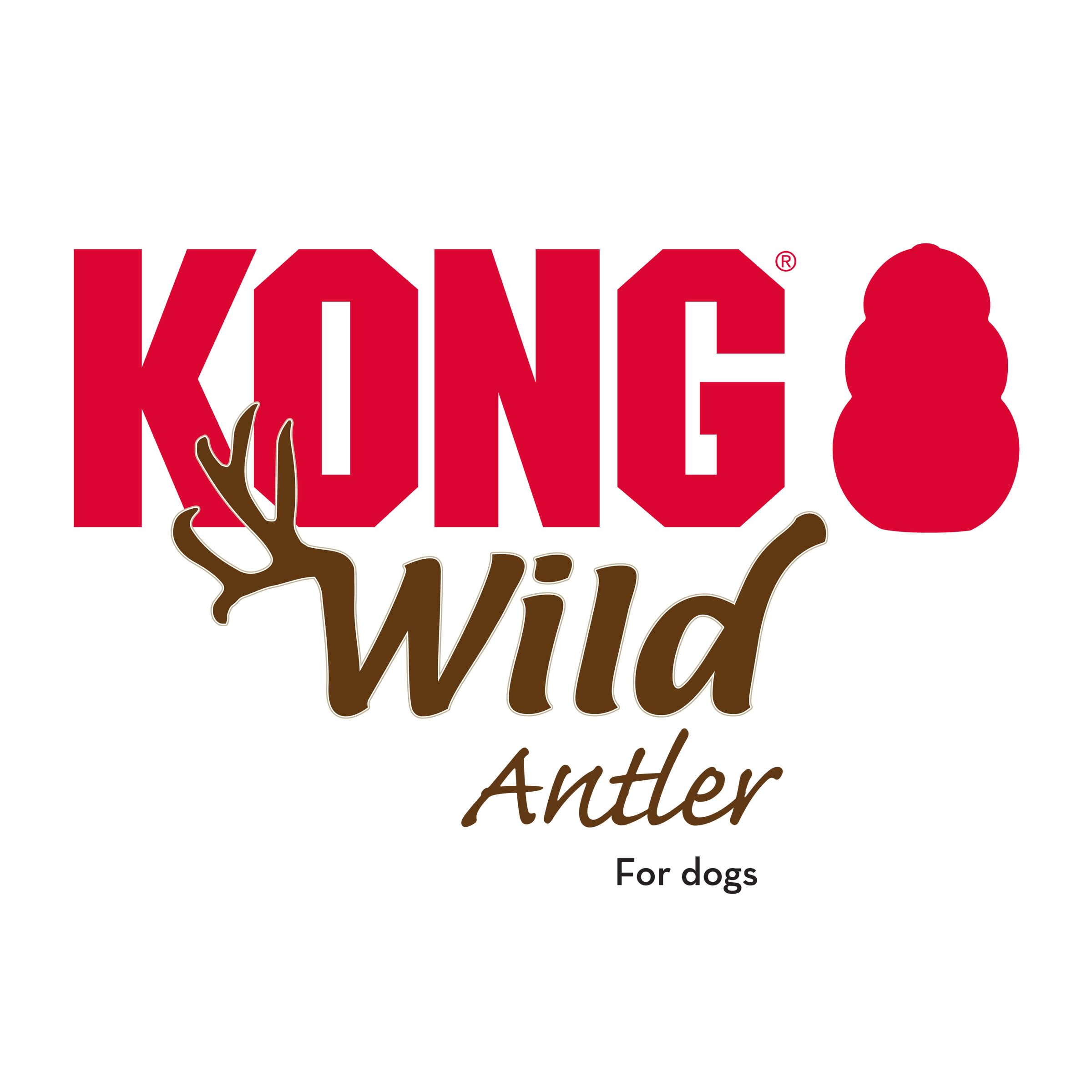 KONG uso diario de cuerno de alce para masticación segura