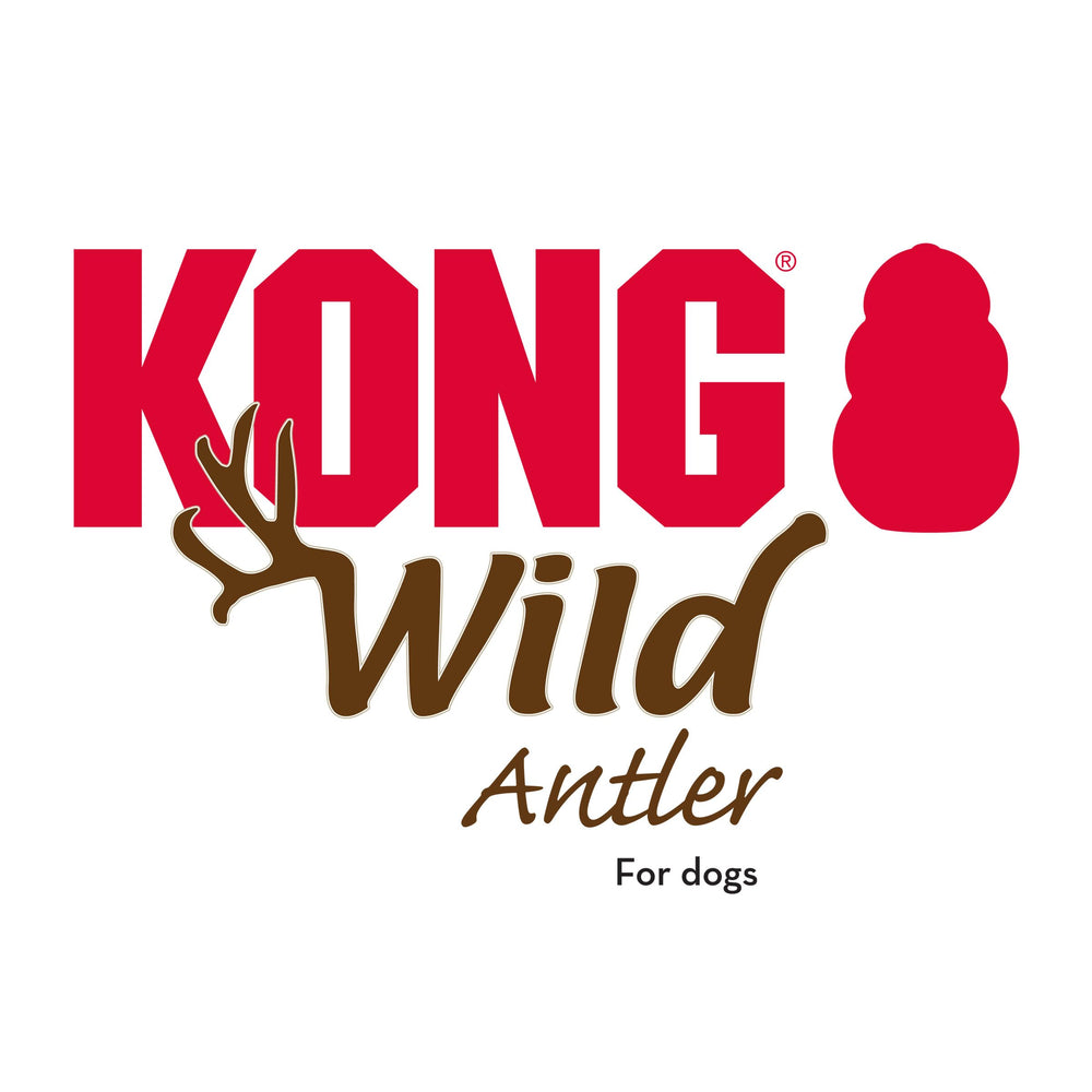 KONG uso diario de cuerno de alce para masticación segura