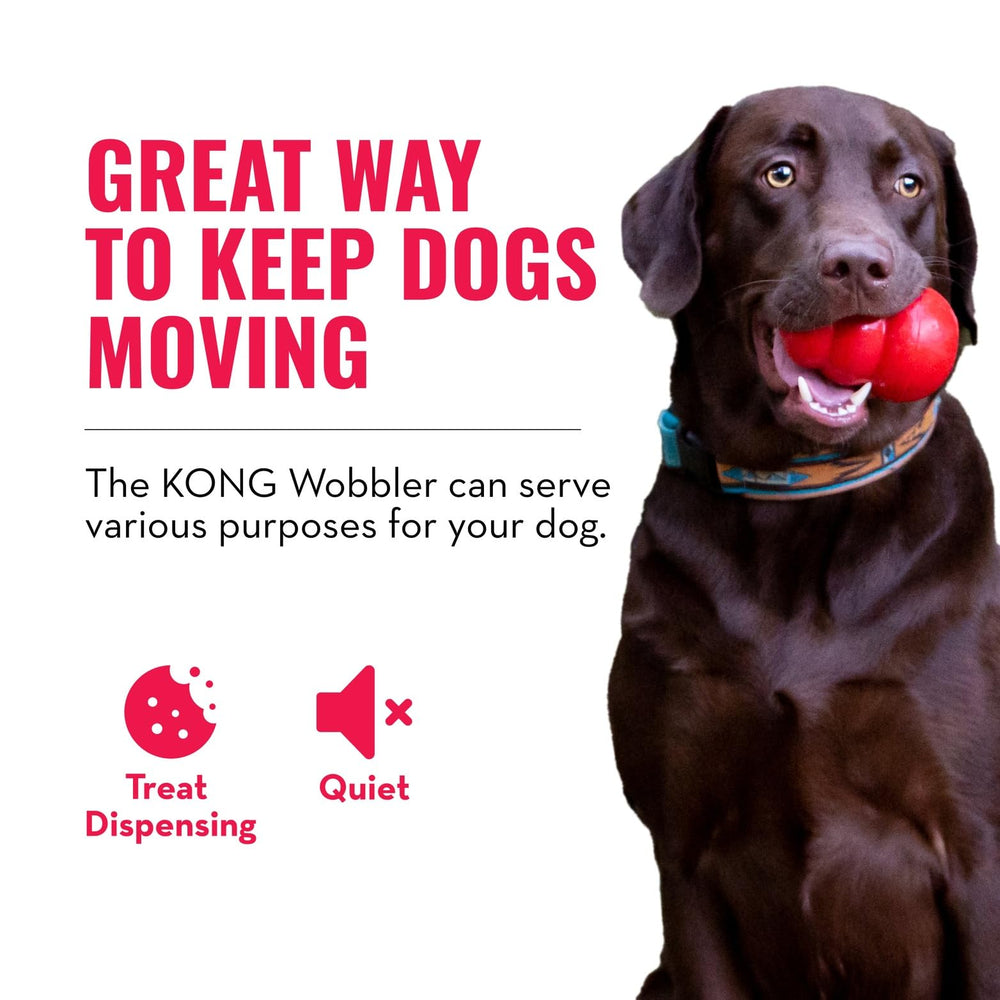 KONG Wobbler apto para lavavajillas y limpieza rápida.