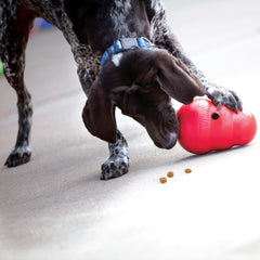 KONG Wobbler premia al perro durante el juego con comida pausada.