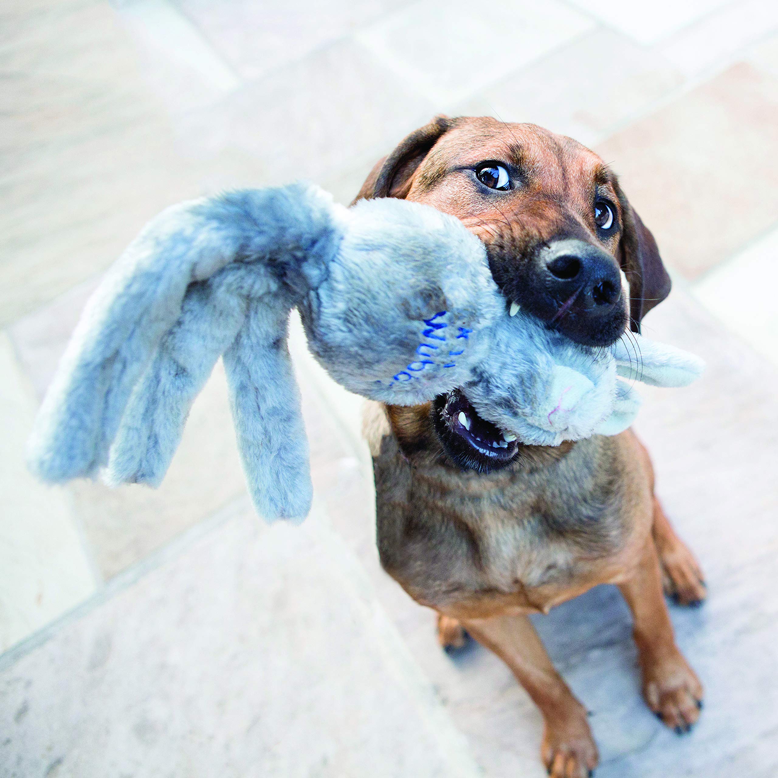 KONG Wubba Juego Tira-y-Trae Interactivo, perfecto para sesiones dinámicas en casa o jardín.