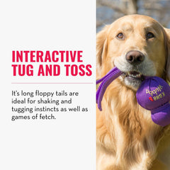 KONG Wubba juguete interactivo para perros, anima juegos en casa o en el jardín