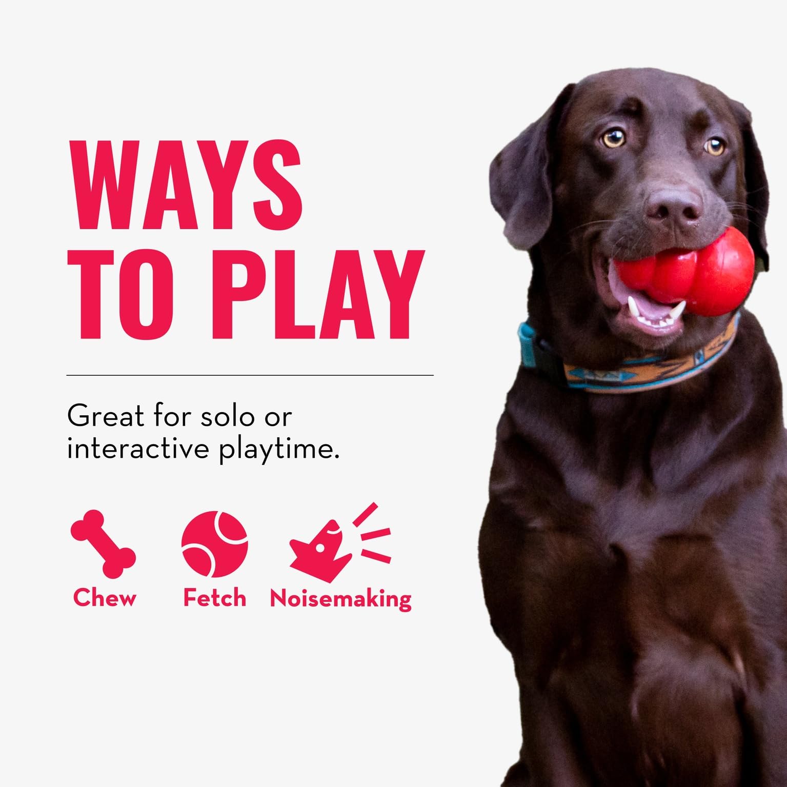KONG Wubba juguete de nylon reforzado con sonido para estimular la curiosidad del perro