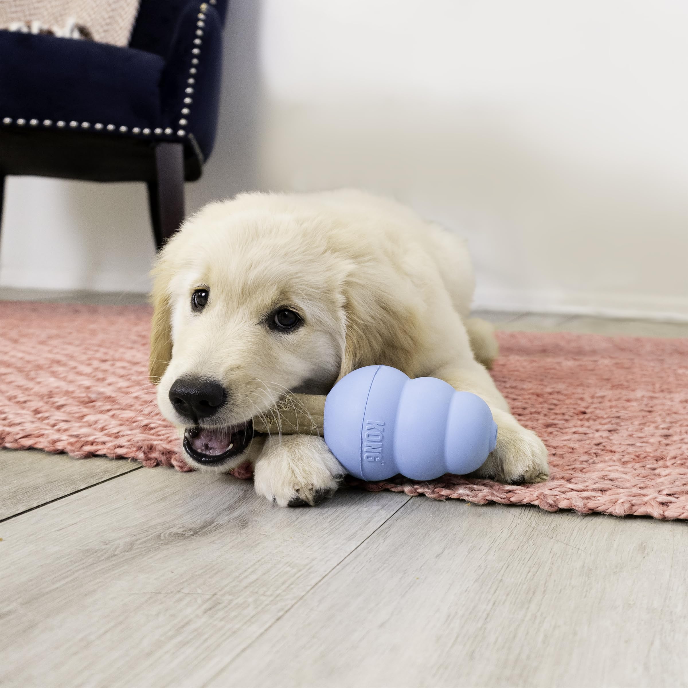 KONG Ziggies Puppy Small presenta textura firme y masticable para masticar.