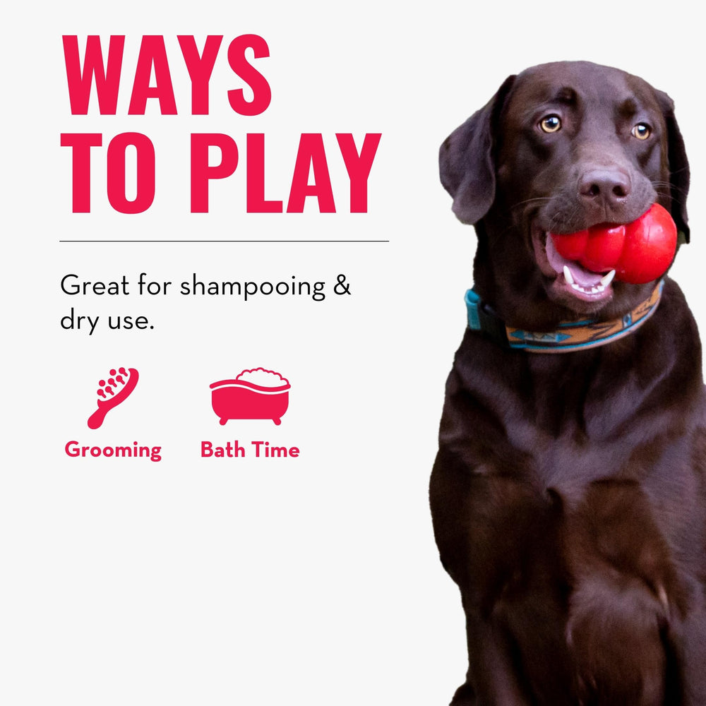 KONG ZoomGroom en frambuesa y zarzamora, dos colores atractivos para perros grandes.