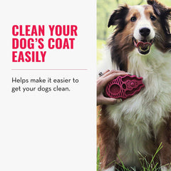 KONG ZoomGroom uso-con-champu, facilita limpieza suave durante el baño.