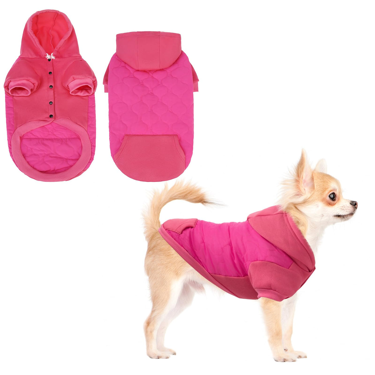 KOOLTAIL abrigo capucha ajustable para perro pequeño en plena acción