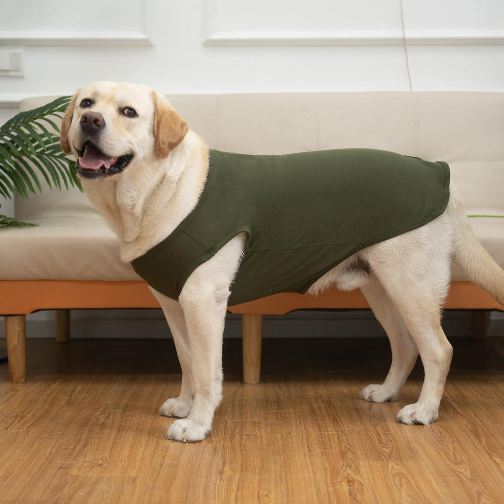 KOOLTAIL ajuste elástico que facilita colocar la prenda en cada paseo.