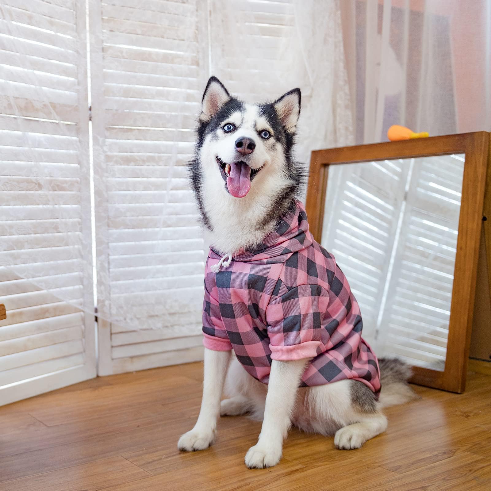 KOOLTAIL ajuste de tela: fácil de poner y quitar para tu perro.