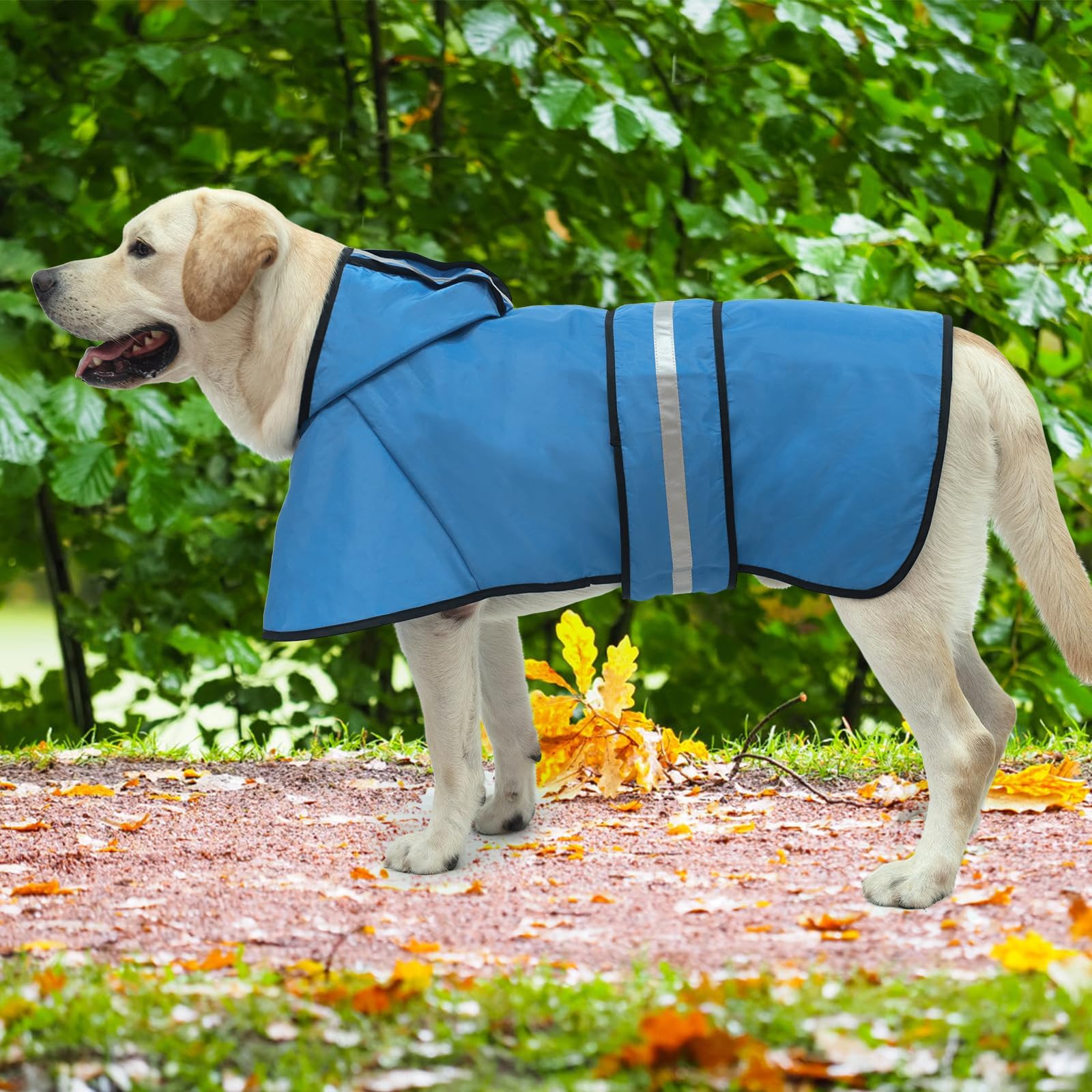 KOOLTAIL ajuste ventral elástico mantiene la chaqueta estable durante el paseo