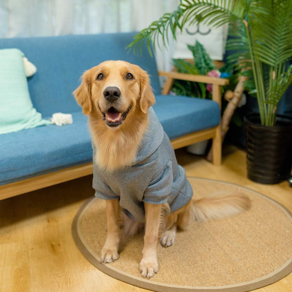 KOOLTAIL Basic Dog Hoodie: ajuste cómodo para tallas XS a XXL