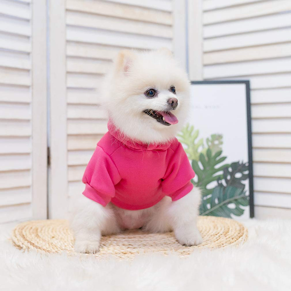 KOOLTAIL Basic Hoodie fácil de lavar a máquina, cuidado rápido