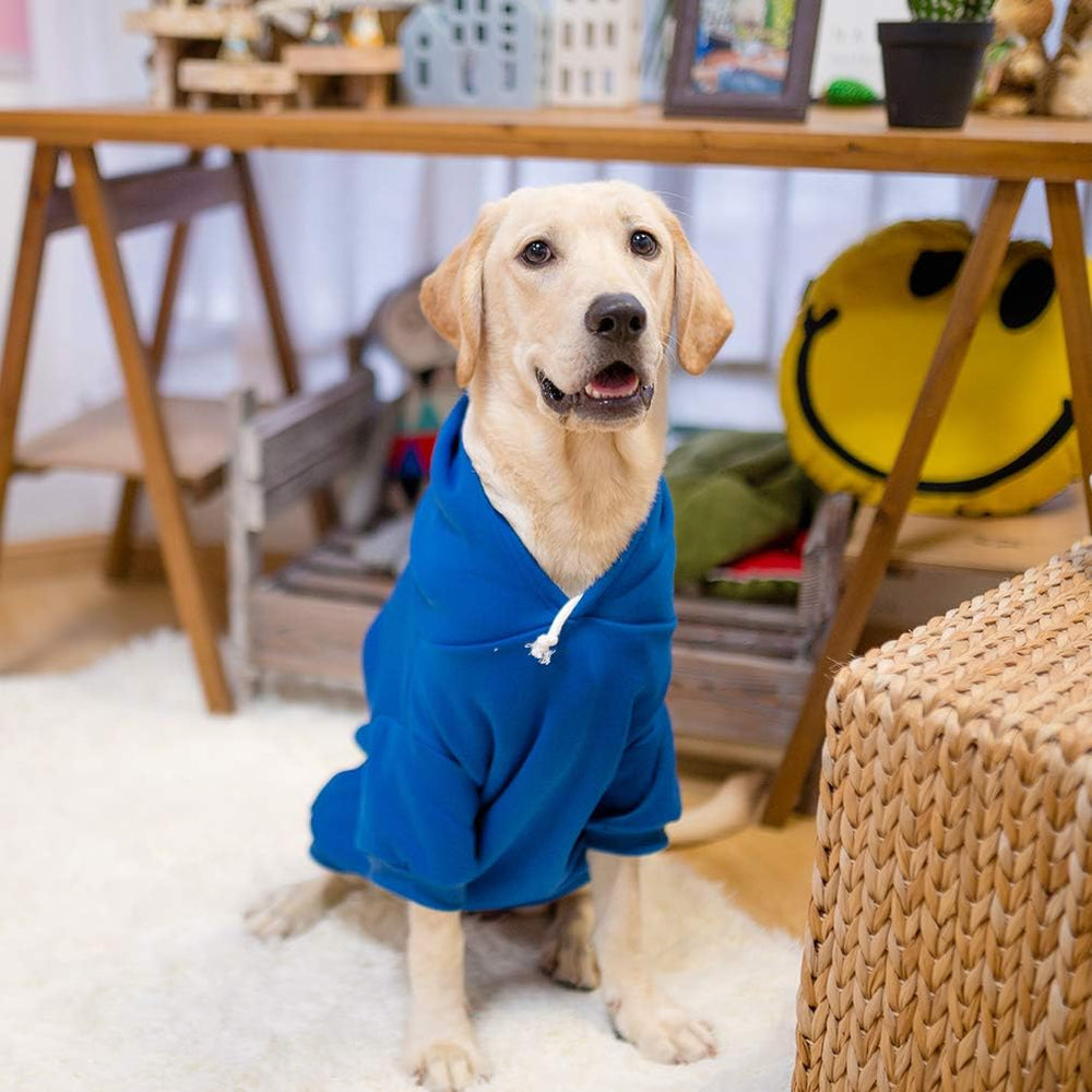 KOOLTAIL Basic para-razas-grandes: talla XL-XXL adecuada para perros grandes.