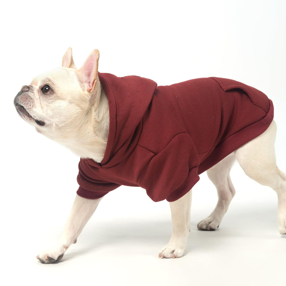 KOOLTAIL Basic sudadera para perro, tejido suave; resistente a mordidas ligeras