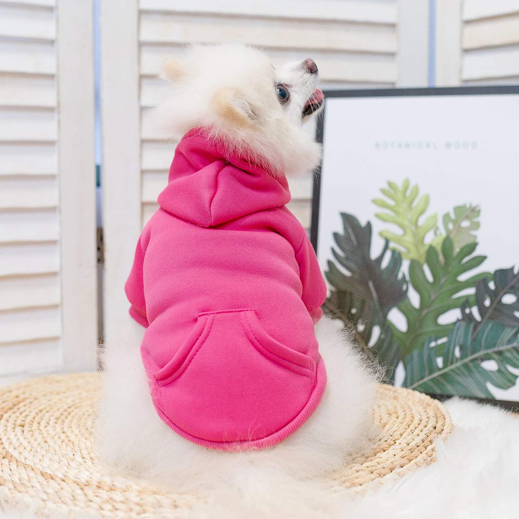 KOOLTAIL Basic Hoodie en varios colores vivos, estilo deportivo para mascotas