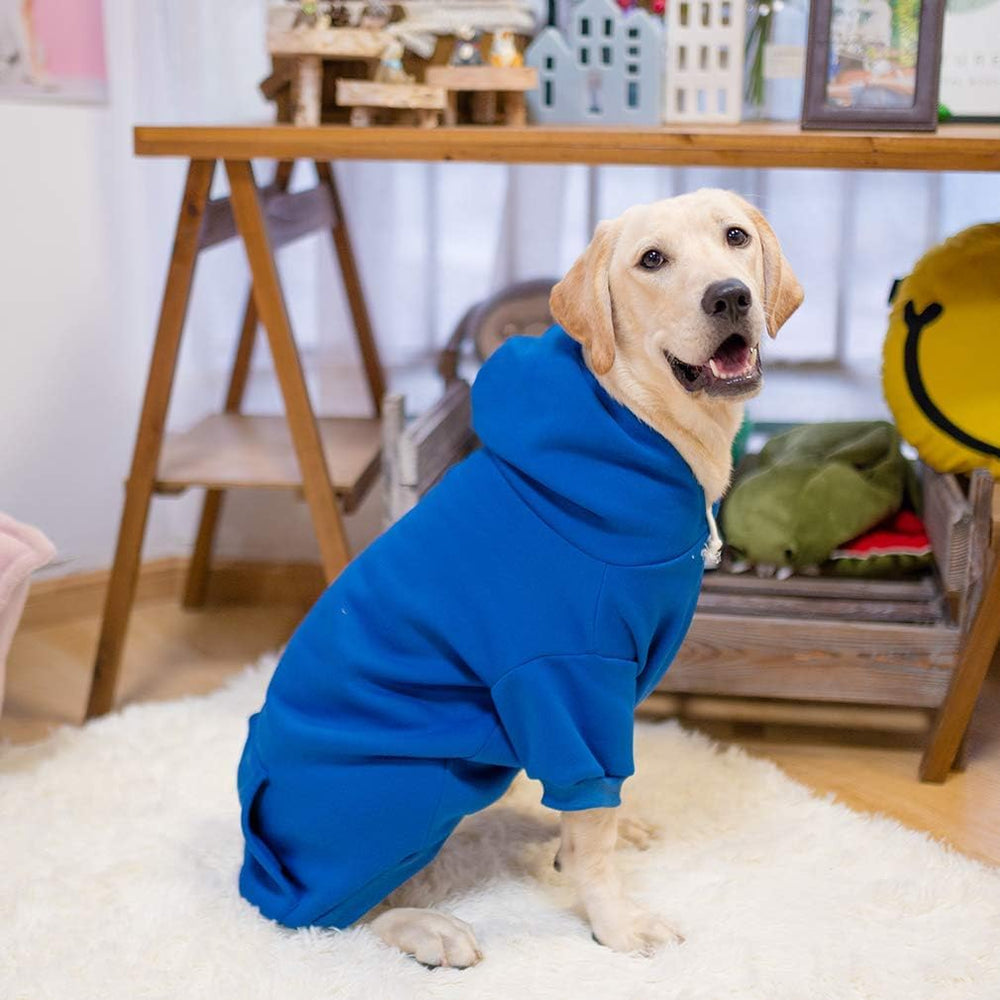 KOOLTAIL sudadera en varios colores para expresar estilo del perro