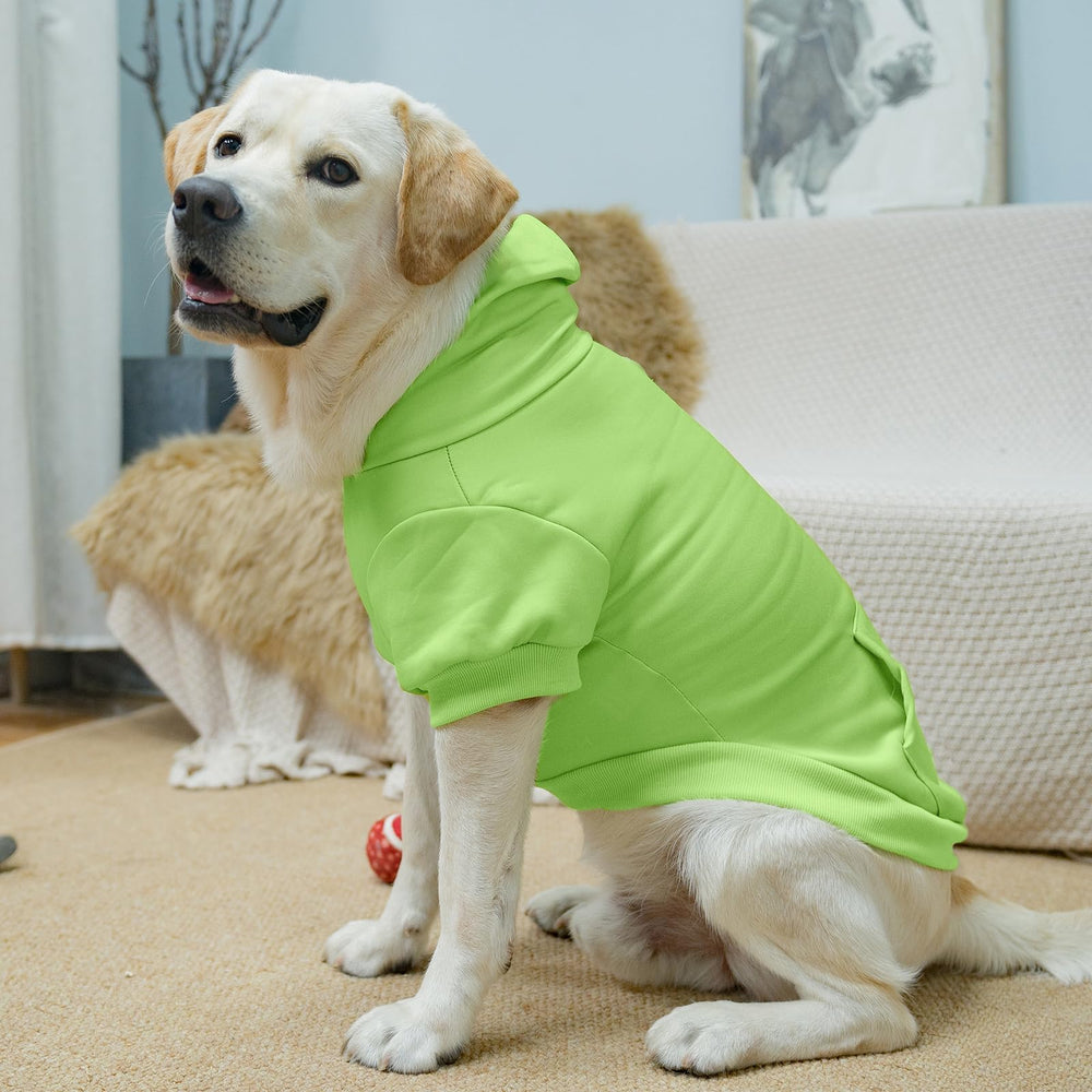 KOOLTAIL sudadera para perros, colores disponibles para combinar con el estilo.