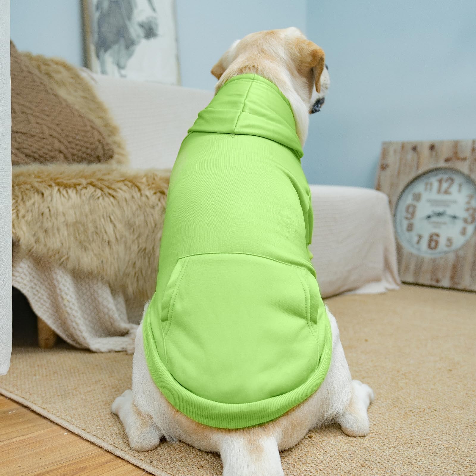 KOOLTAIL guía de tallas para elegir la sudadera ideal.