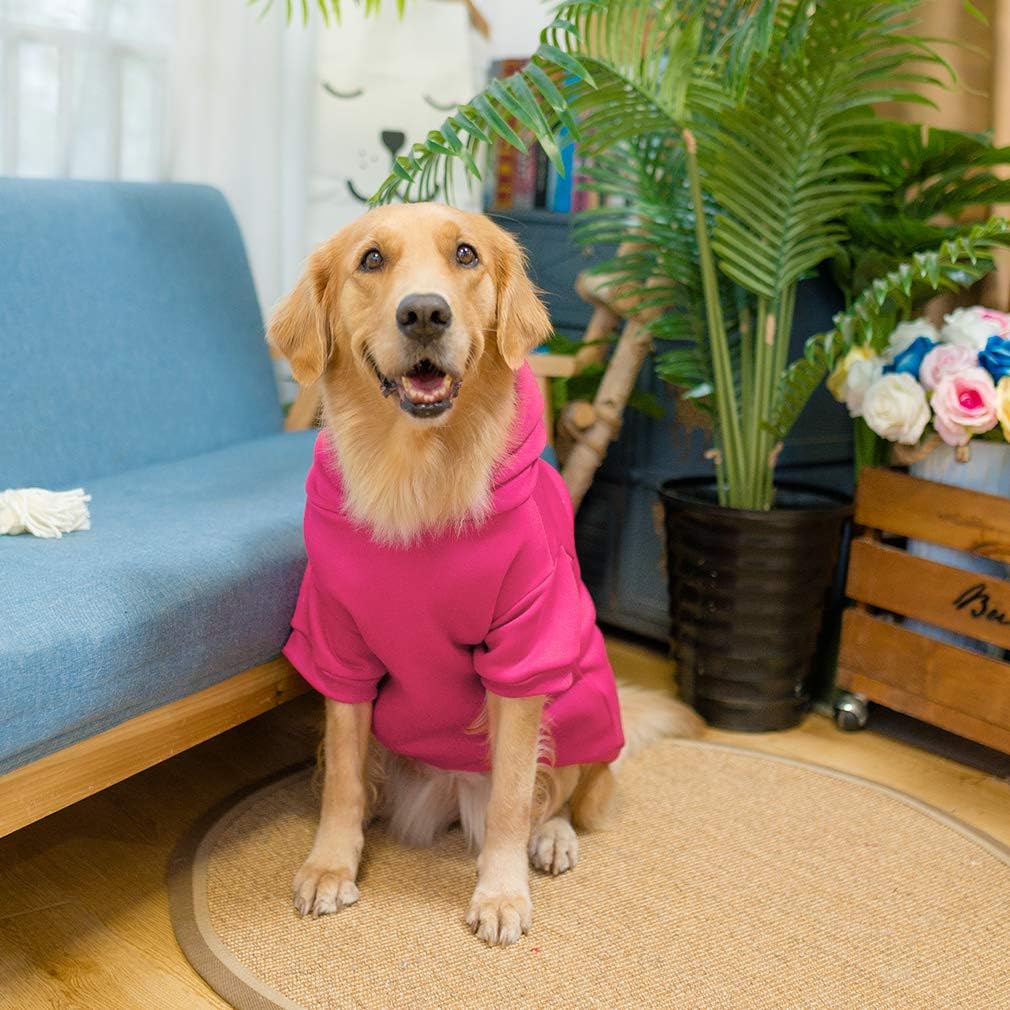 KOOLTAIL Basic: tallas XL-XXL para perros grandes y peludos.