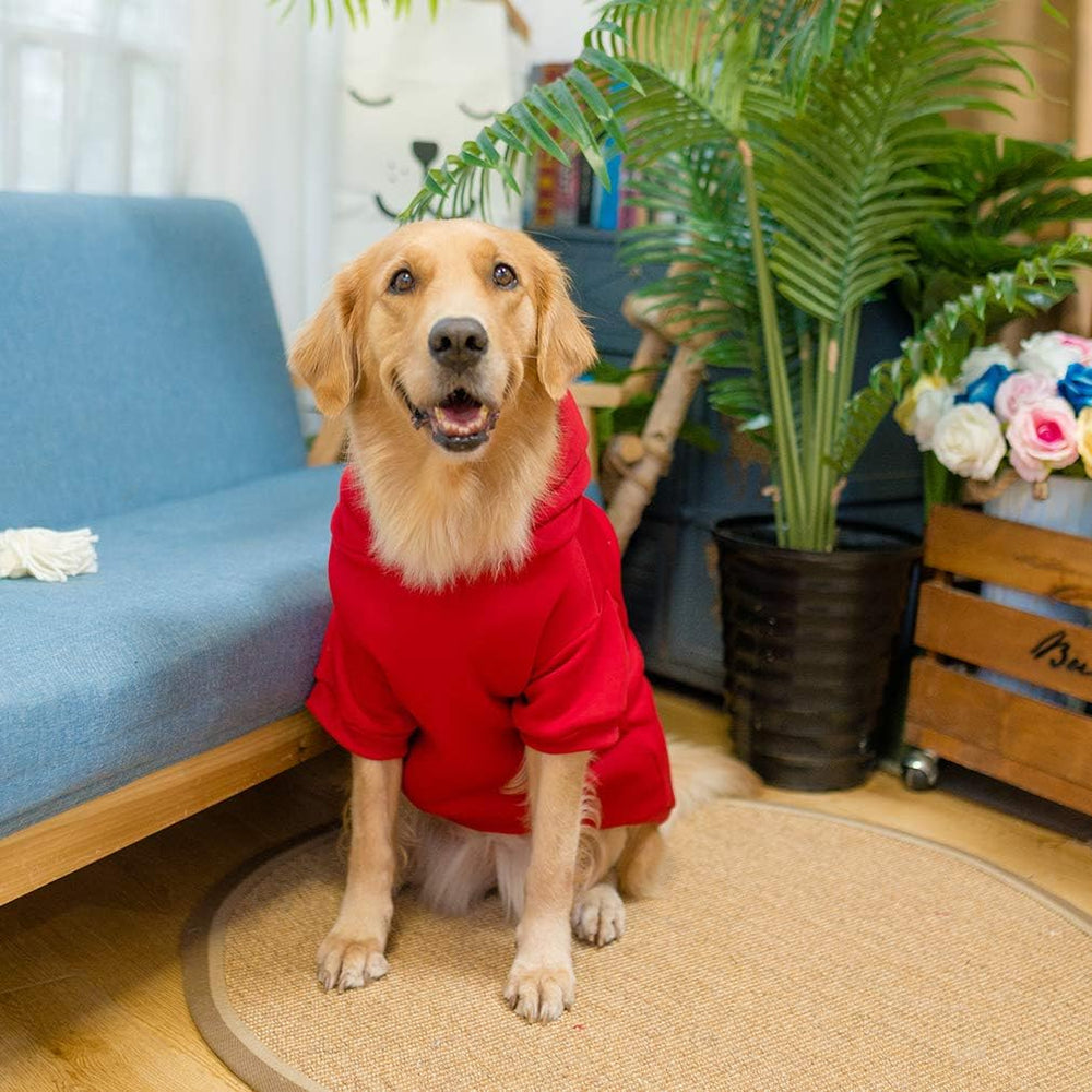 KOOLTAIL sudadera-capucha para perro básico, apta para lavado a máquina sin perder forma.