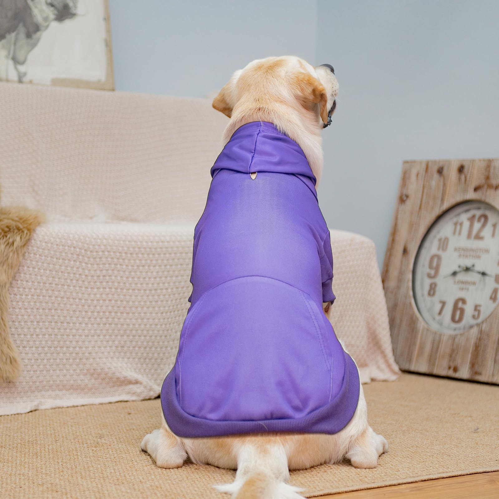 KOOLTAIL sudadera para perro para paseos invernales con capucha y estilo