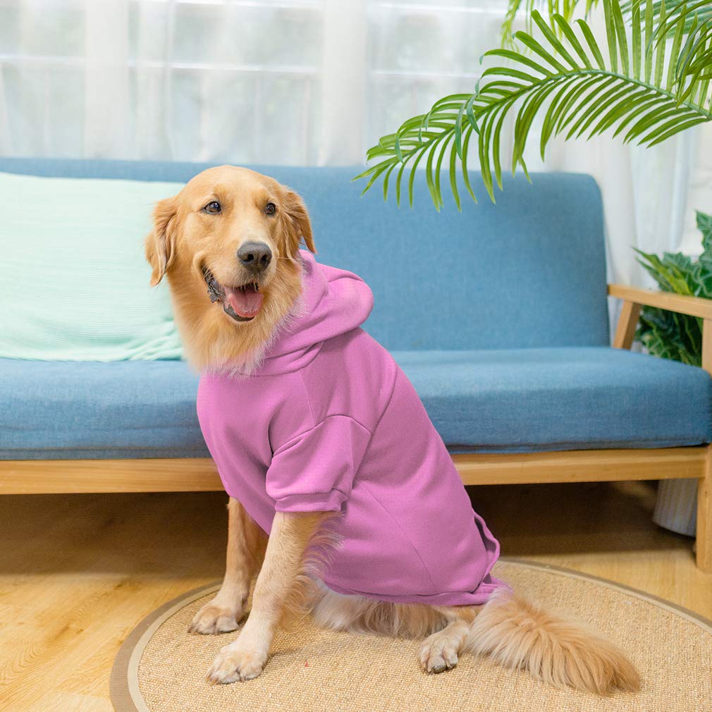KOOLTAIL Basic talla XXL para perros grandes, ajuste cómodo