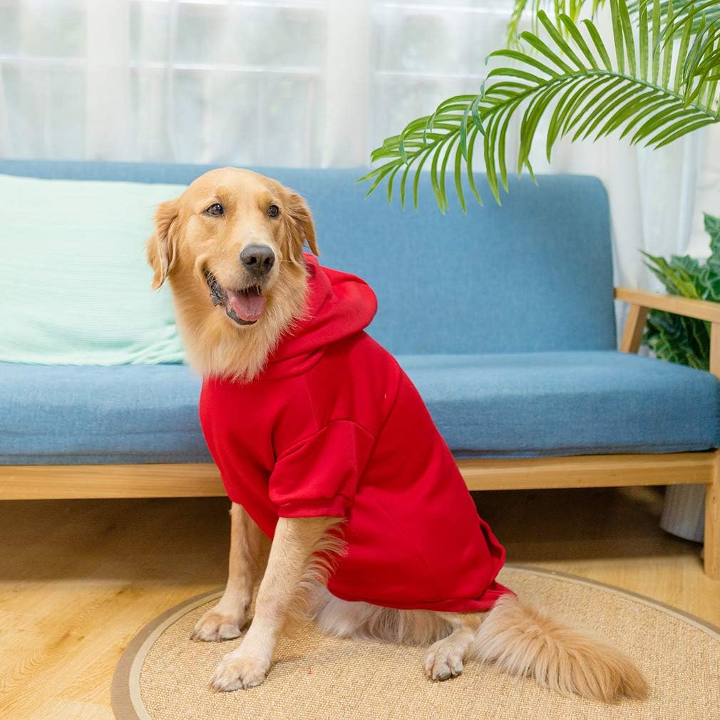 KOOLTAIL Basic sudadera para perro, disponible en varios colores para combinar con tu mascota.