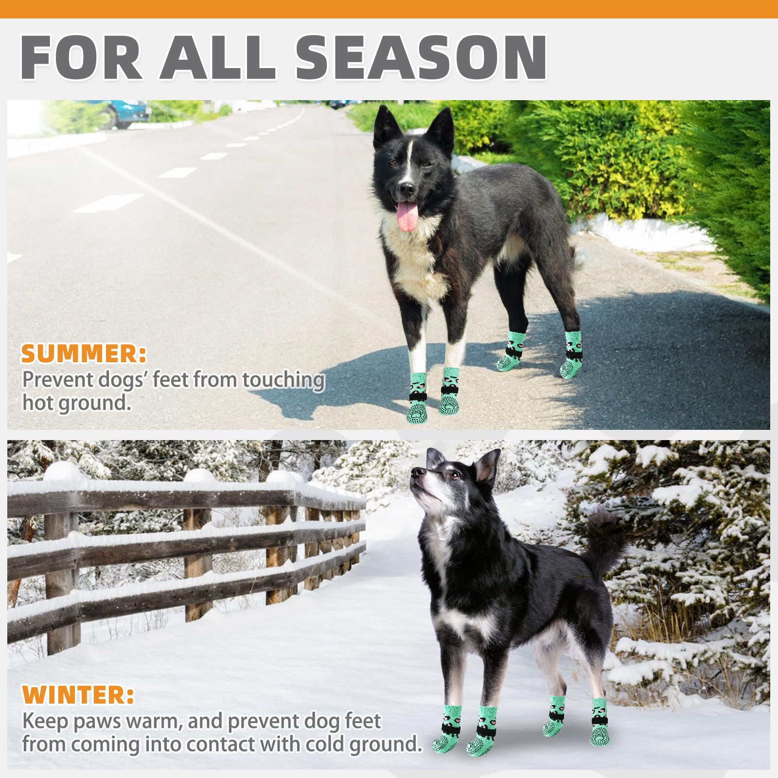 KOOLTAIL protección de patas frente a calor y frío en pavimento