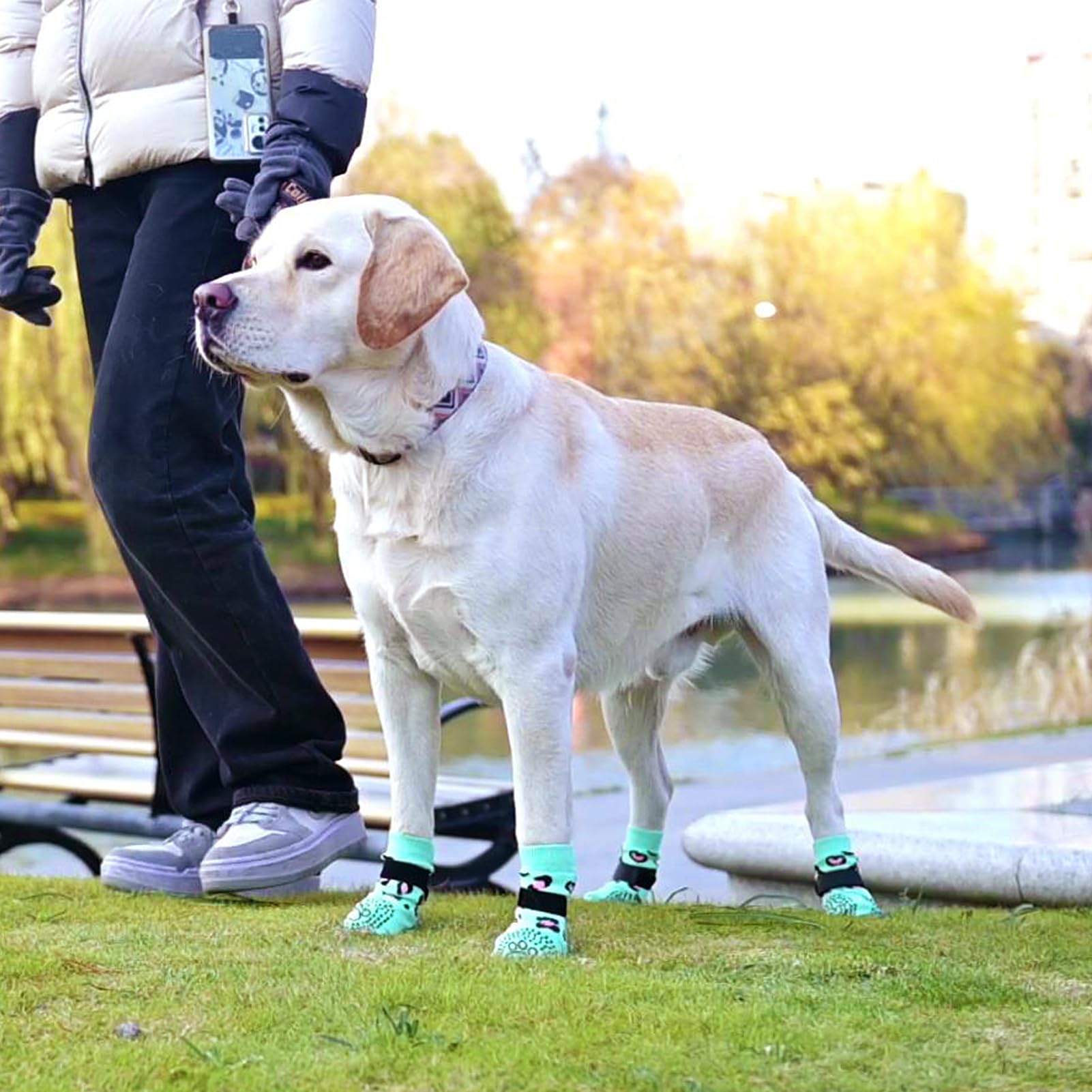 KOOLTAIL calcetines para perro ajuste cómodo y tamaño correcto