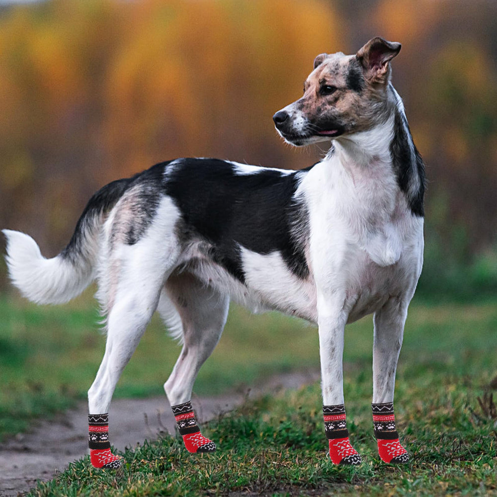 KOOLTAIL calcetines para perros, diseño multifuncional para el hogar.