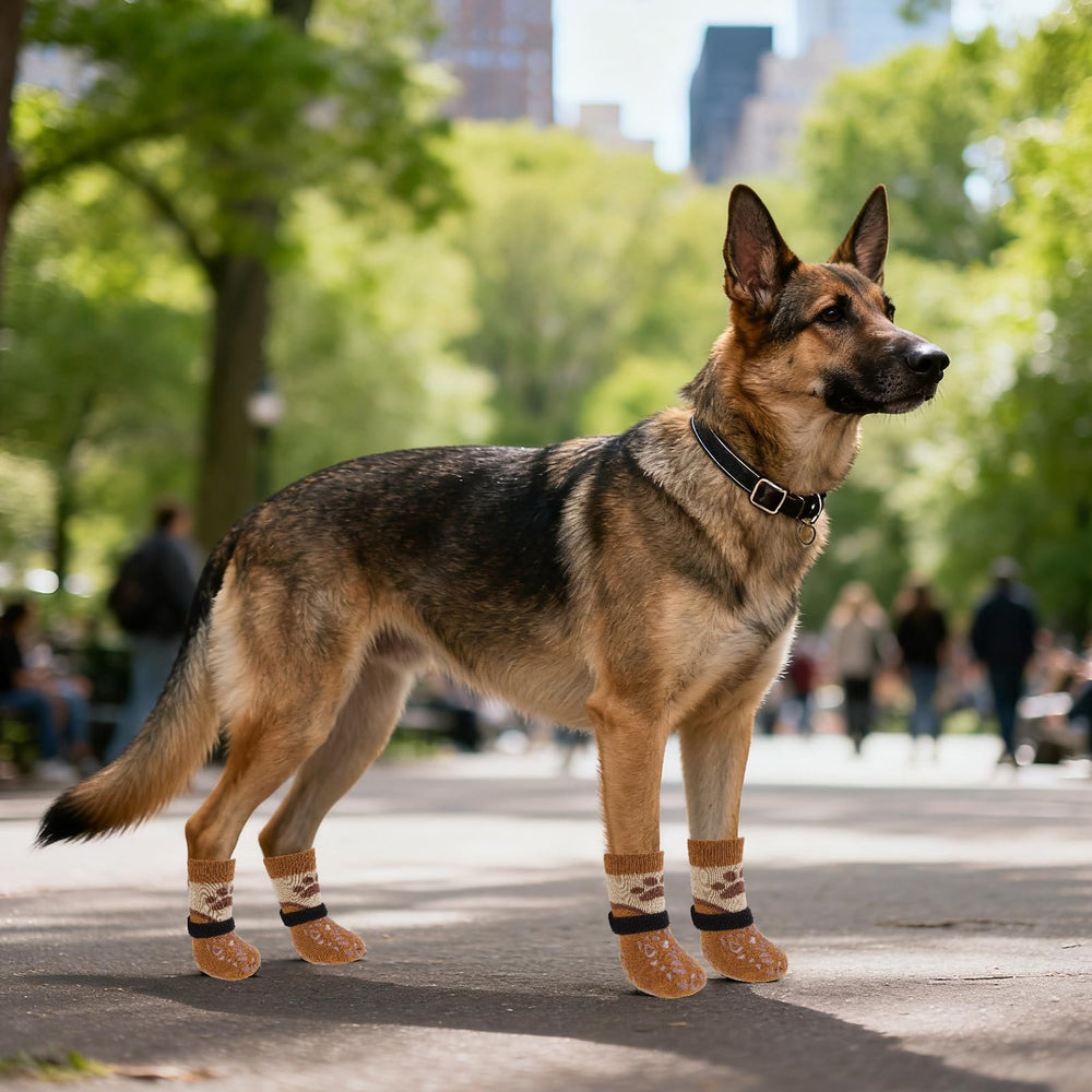 Calcetines para perros Kooltail aptos para todas las tallas y climas