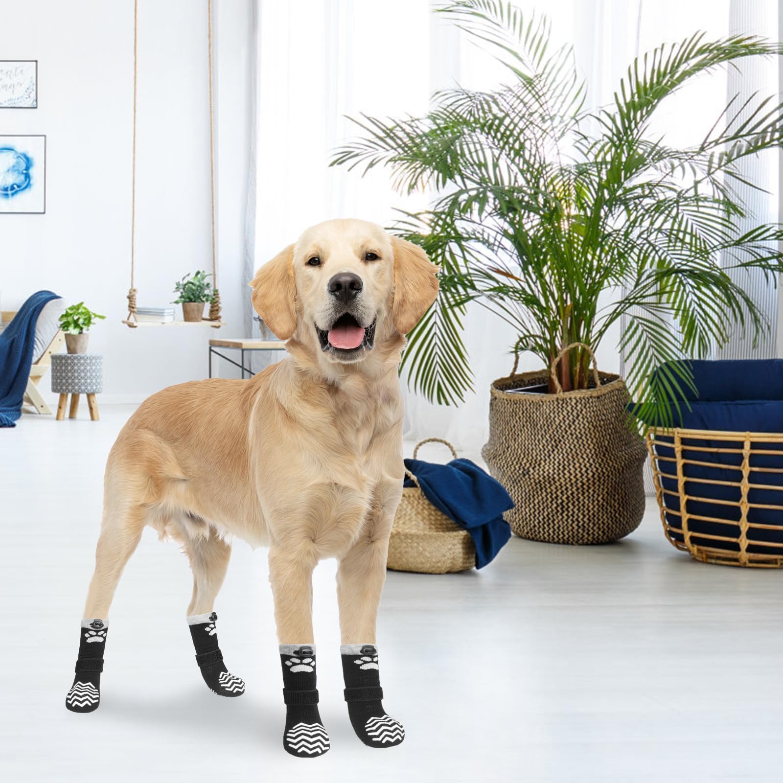 KOOLTAIL calzado para patas extendido protege patas y mejora seguridad en paseos.