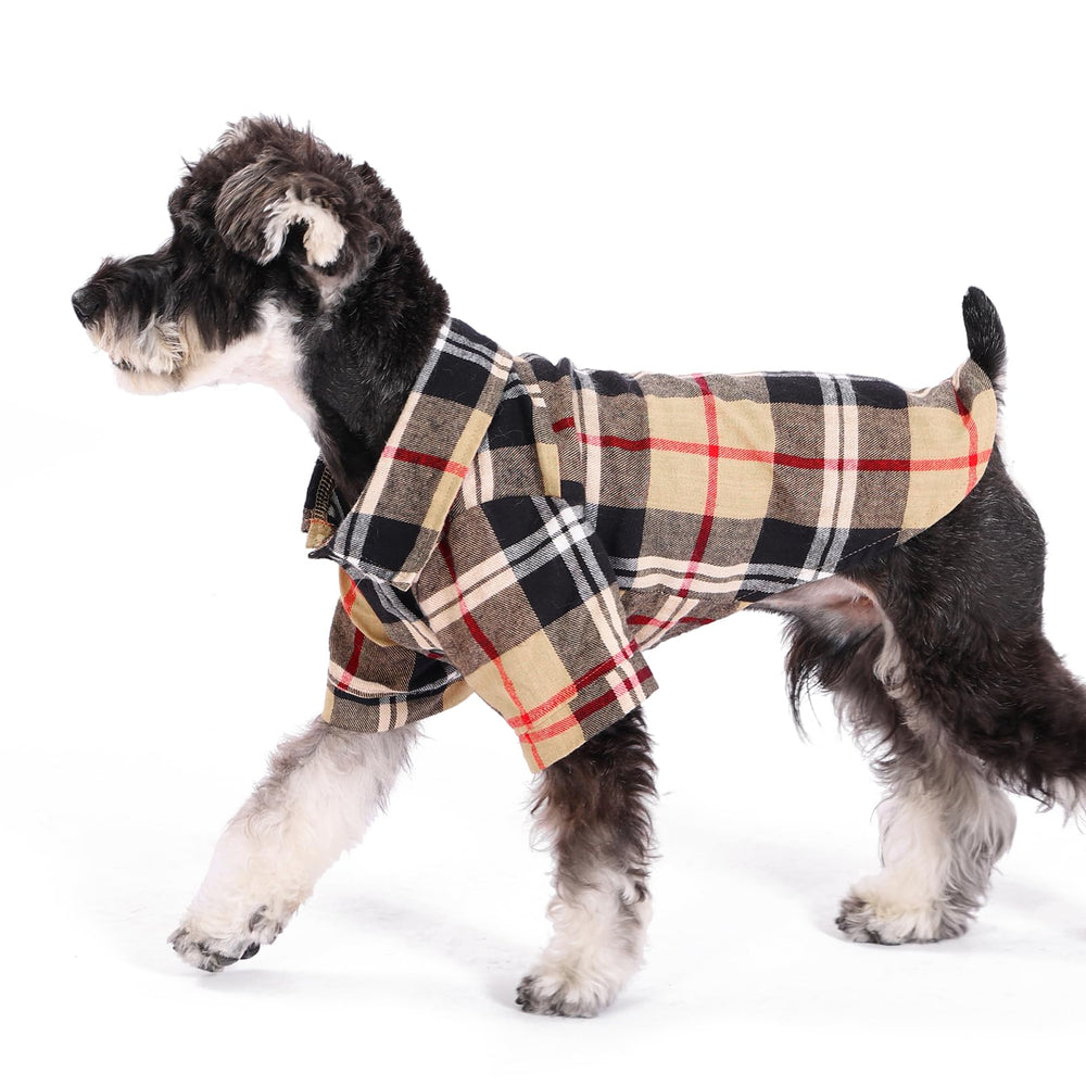 KOOLTAIL diseño de cuadros y patchwork para estilo moderno