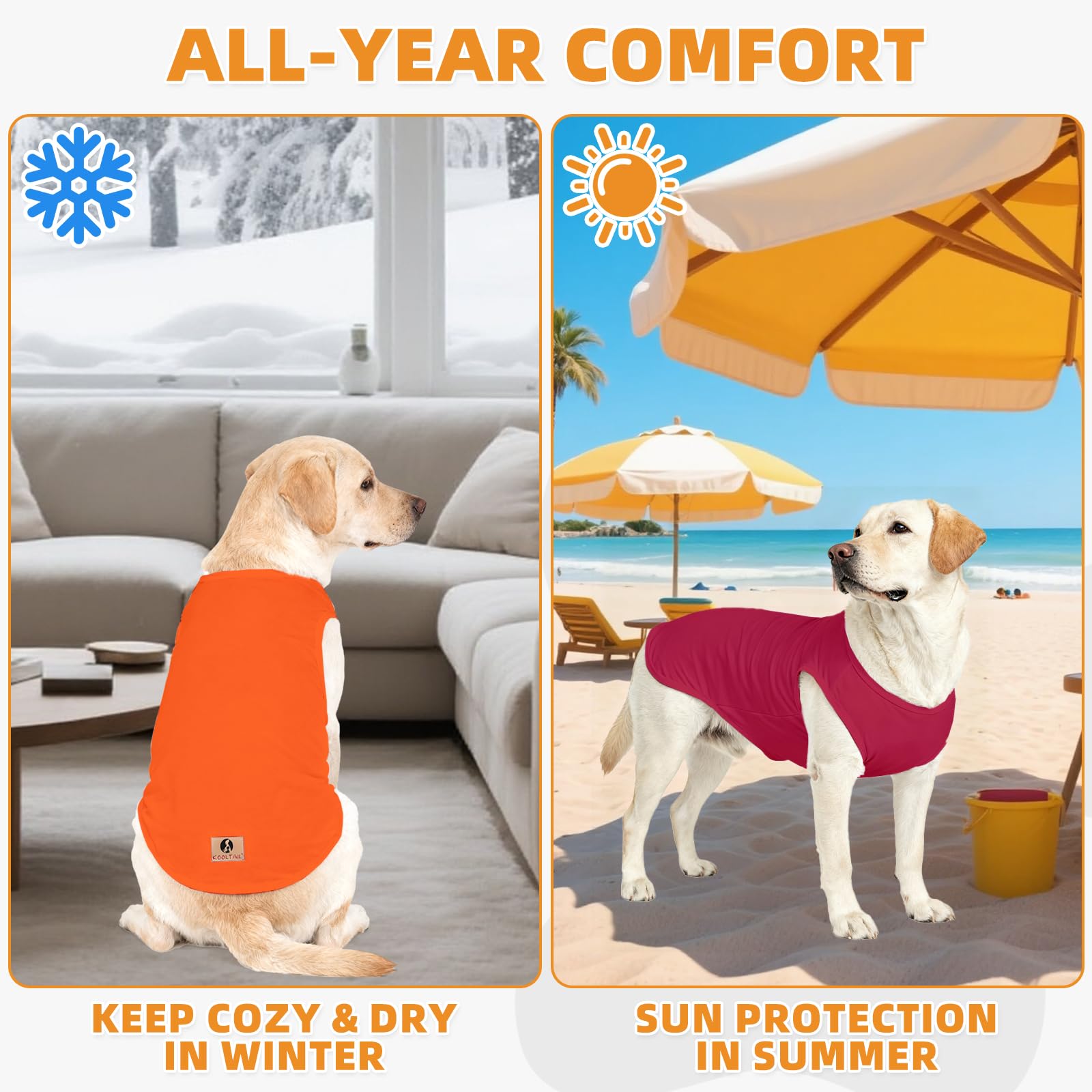 KOOLTAIL uso y durabilidad para perros grandes en actividades diarias.