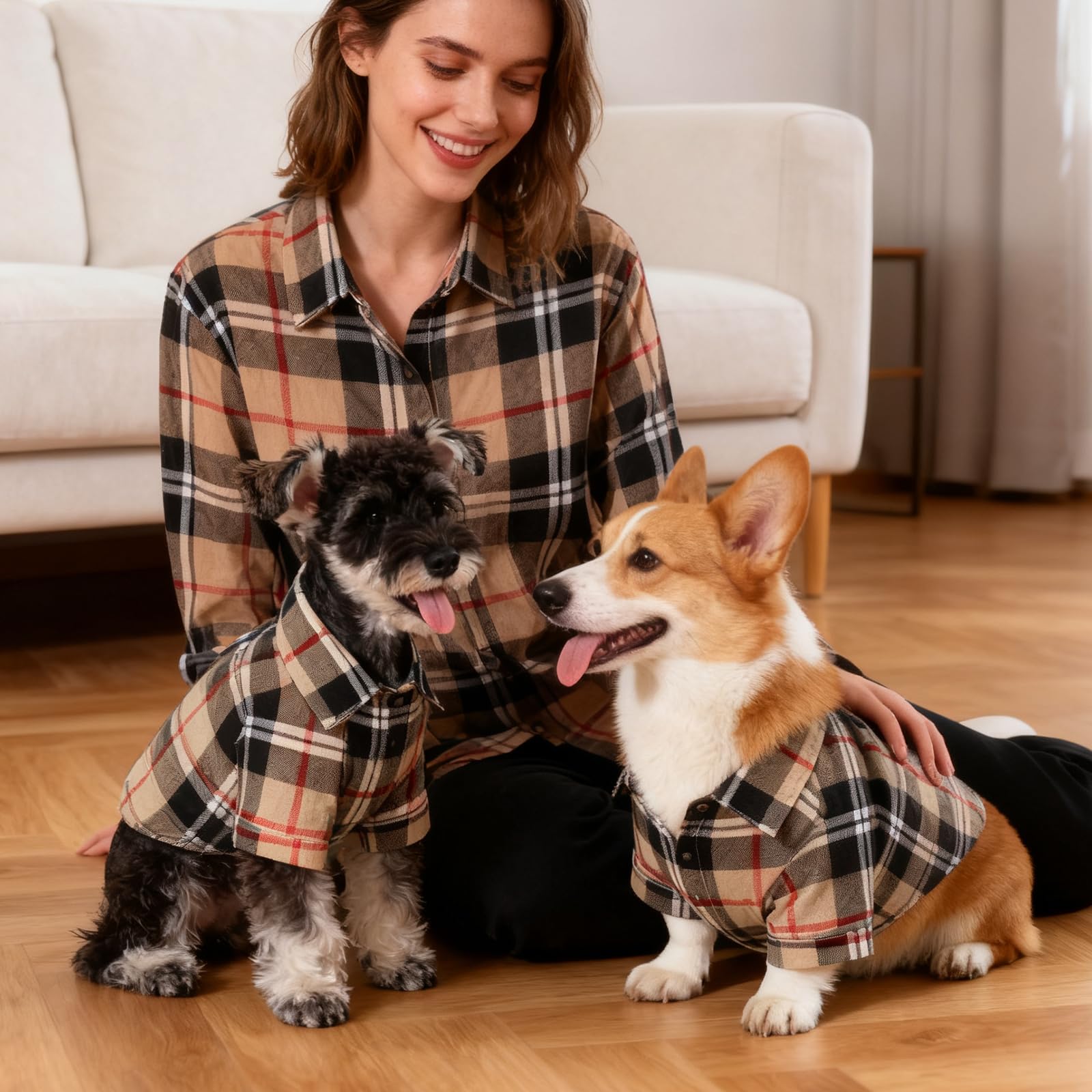 KOOLTAIL uso diario y fotos adorables con la camiseta para perro