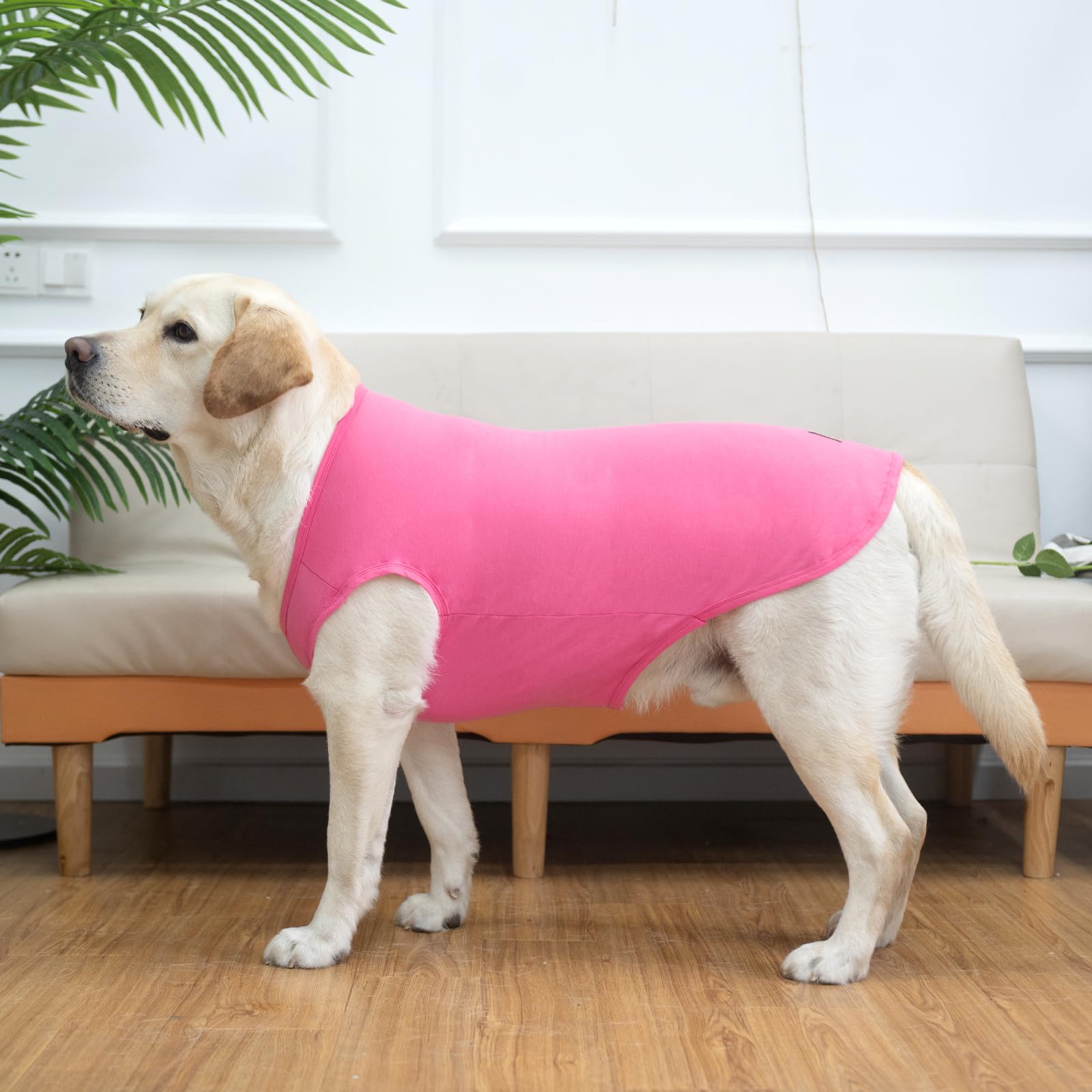 Dos camisetas KOOLTAIL para perros grandes en rosa