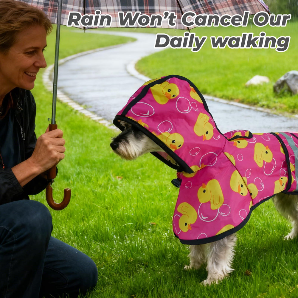 KOOLTAIL capa de lluvia para perros medianos, diseño cómodo para paseos en lluvia.