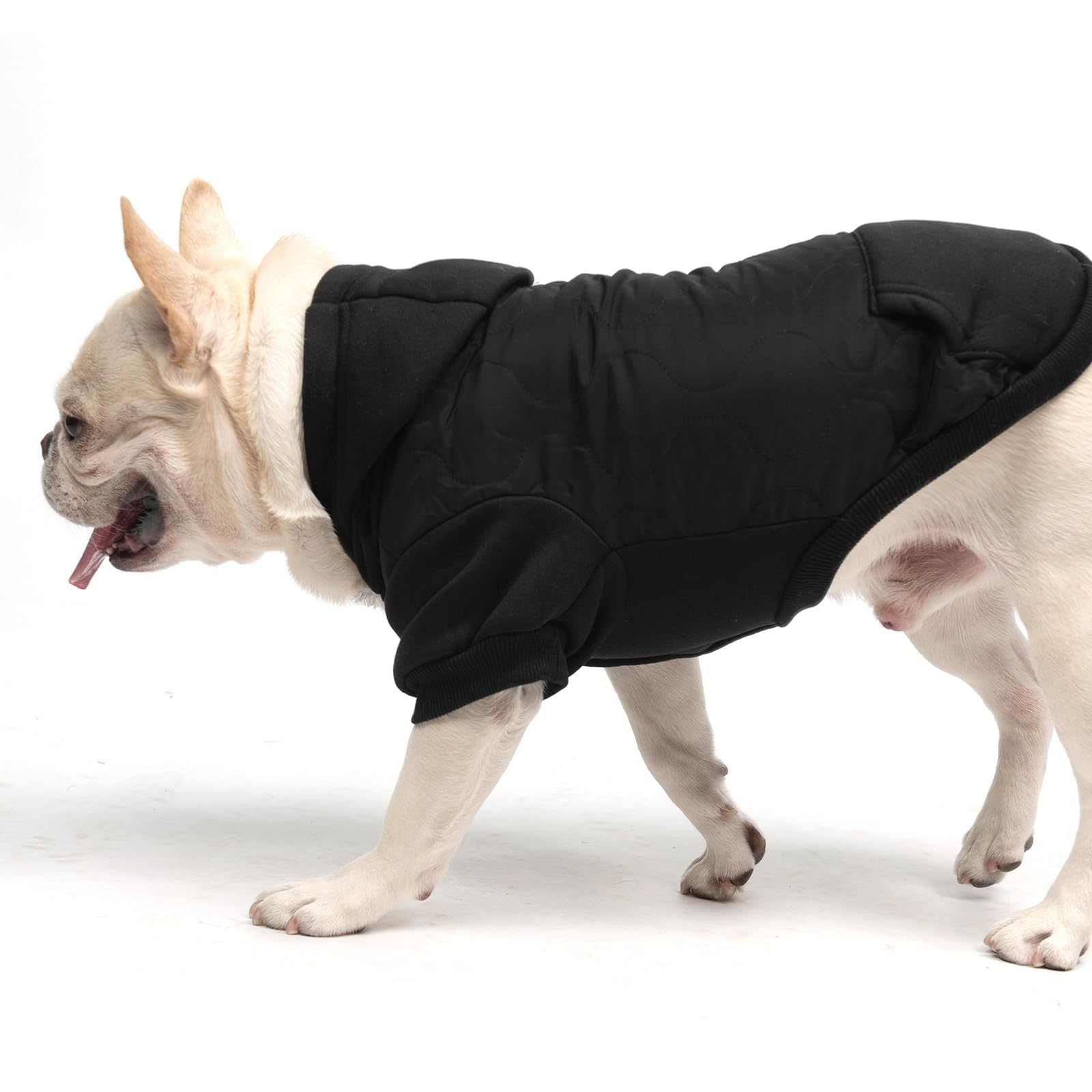 KOOLTAIL capucha con cordón, protege del viento y del frío.